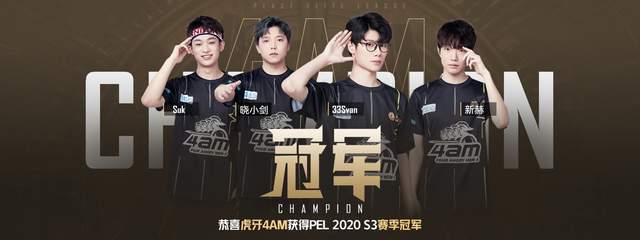 专业人士将